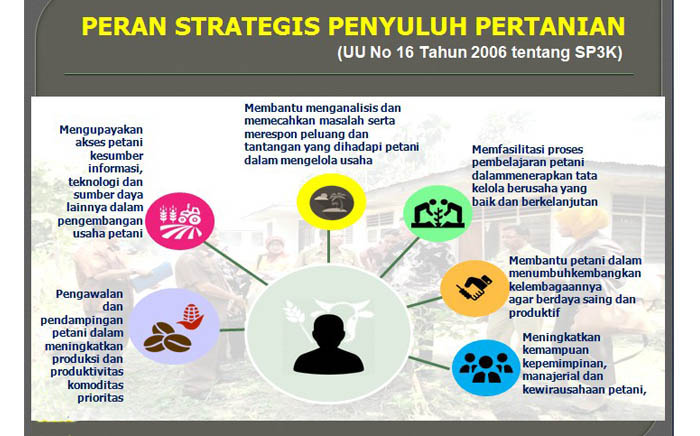 Pensiun dan Wafat, Kabupaten Batanghari Kekurangan Penyuluh Pertanian